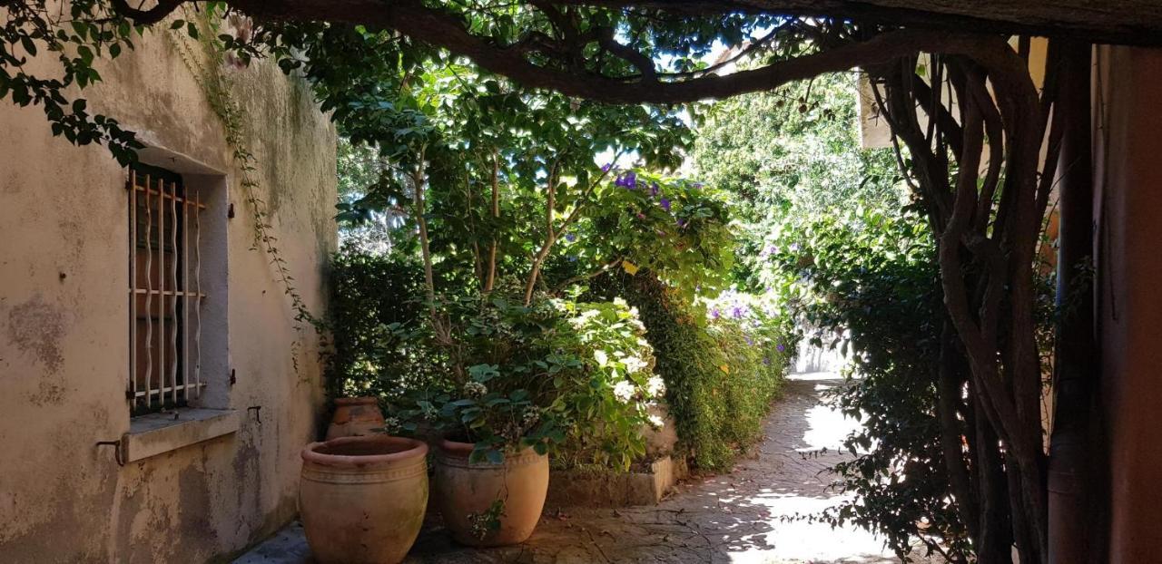 L'Odyssée Provençale: Charming Duplex with Medieval Village Views Bormes-les-Mimosas Exterior photo